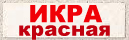 Otpusk